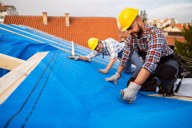 Best Roof Inspection  in Louisburg, NC